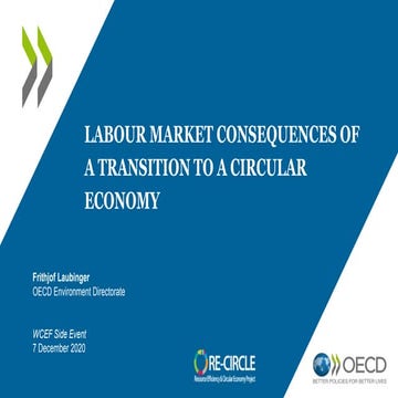 Labour Market Consequences of a Transition to a Circular Economy - presentati...