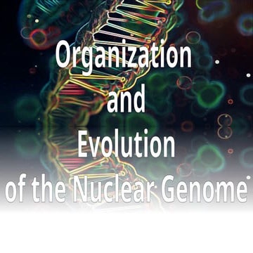 Presentation1-nucleghgggar-genome-1.pptx