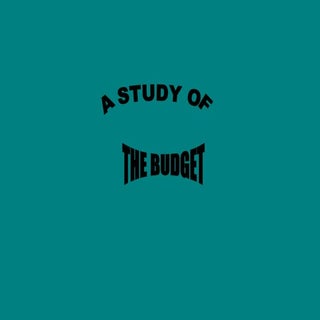 Presentation1.ppt on budget