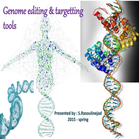 Genome editing tools in plants | PPTX
