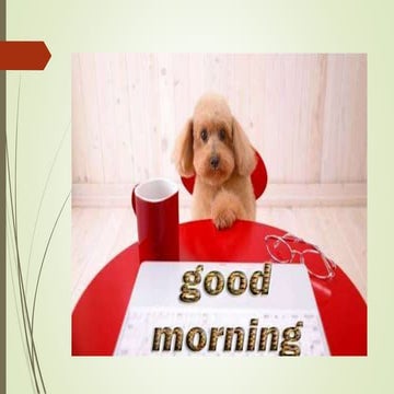 Guided Tissue Regeneration