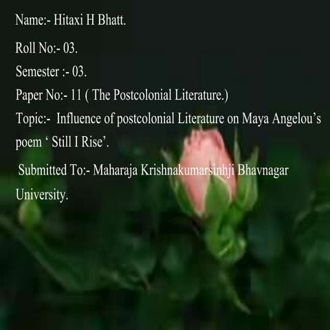 Influence Of Postcolonial Literature On Maya Angelou's Poem 'Still I Rise.''