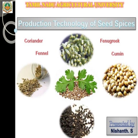 Production Technology of Seed Spices