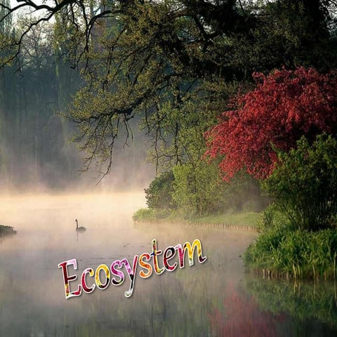TYPES OF ECOSYSTEM