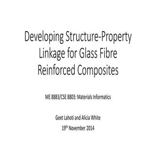 MIPresentation 11 19 [recovered]