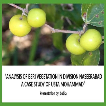 ANALYSIS OF BERI VEGETATION IN DIVISION NASEERABAD, A CASE STUDY OF ...