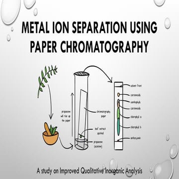 Metal Ion Separation and Identification Using Paper Chromatography: A ...
