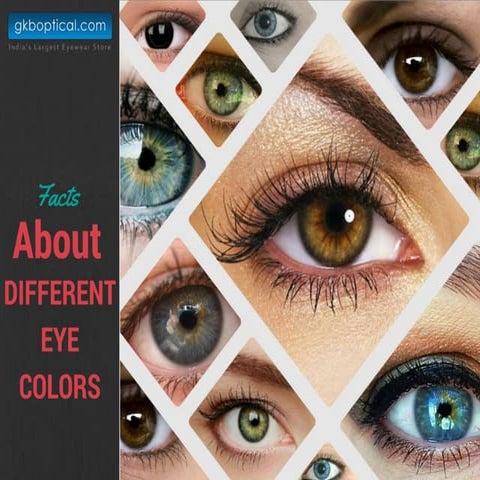 Facts about different Eye Colours | PPTX
