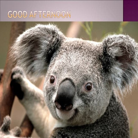 group dscussion method