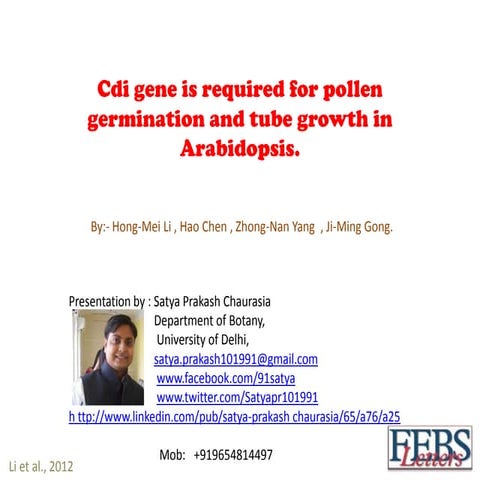 Cdi gene in pollen germination