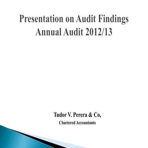 Presentation on Audit Findings