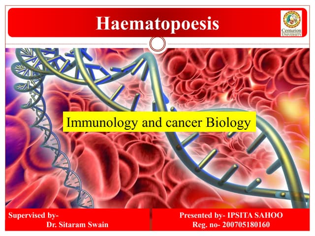 Hematopoiesis