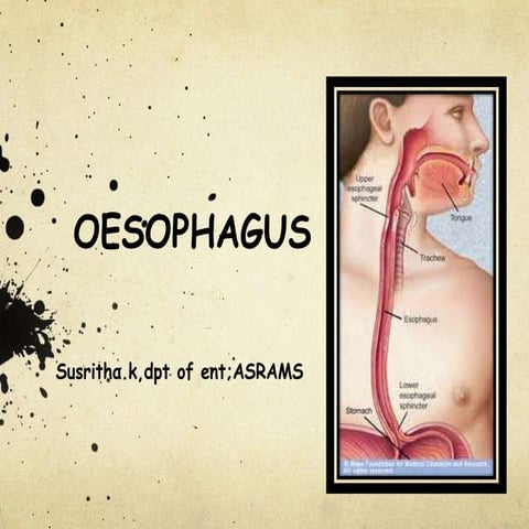 ANATOMY OF ESOPHAGUS WITH PHYSIOLOGY OF DEGLUTITION