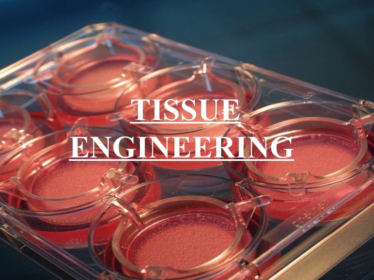 TISSUE ENGINEERING