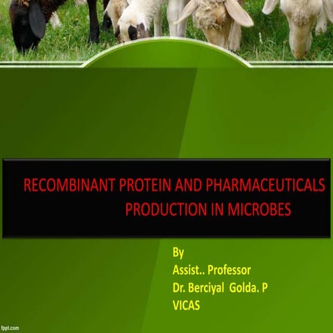 Recombinant protein and pharmaceuticals production in microbes.pptx