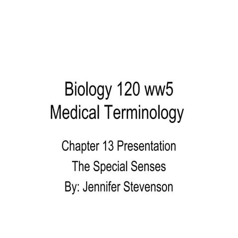 Presentation 13 | PPT