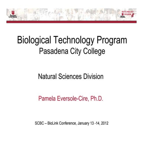 Presentation16 integrating soft skills eversole_cire 