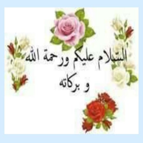 Presentation1  ameer