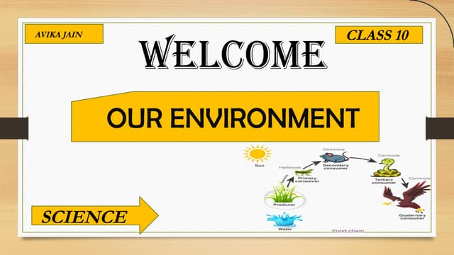 Our environment class 10 | PDF