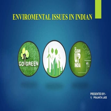 Enviromental issue in india