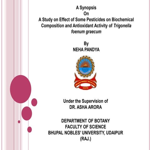 Chapter 1 Research | PPTX