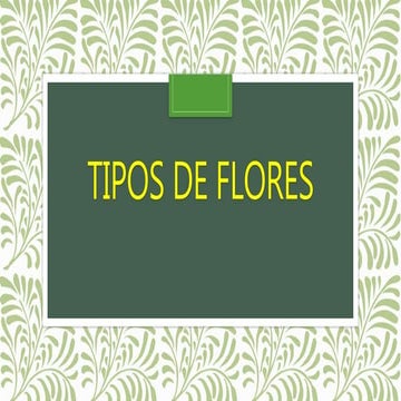 Presentation Tipos de flores inf103 1  