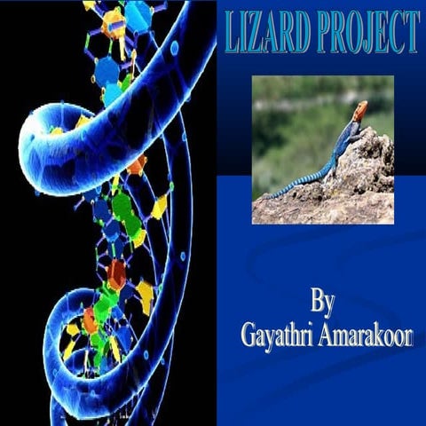 Molecular Phylogenetic relationships among the species of geckos in ...