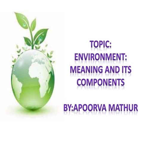 ENVIRONMENT: MEANING AND ITS COMPONENTS