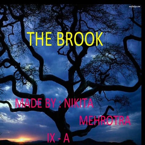 the brook