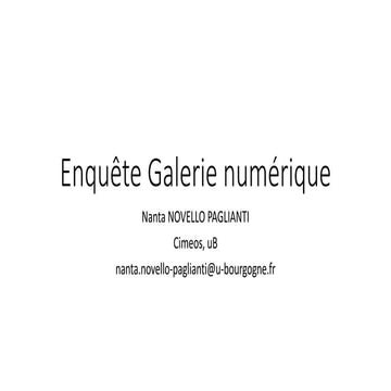 Enquête sur la Galerie numérique, par Nanta Novello Paglianti