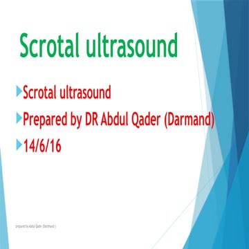 Scrotal ultrasound | DOCX