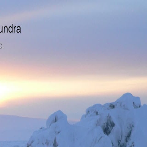 Presentation1 Tundra Ppt Campbell