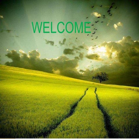 Seed Testing for Germination