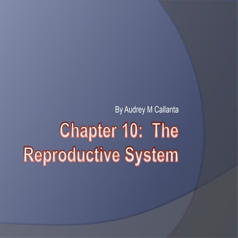 Presentation2 | PPTX