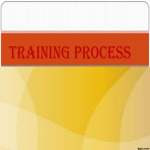 TRAINING PROCESS