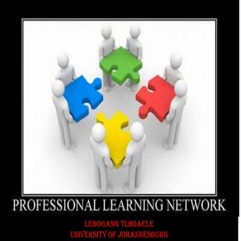  Professional Learning Networks