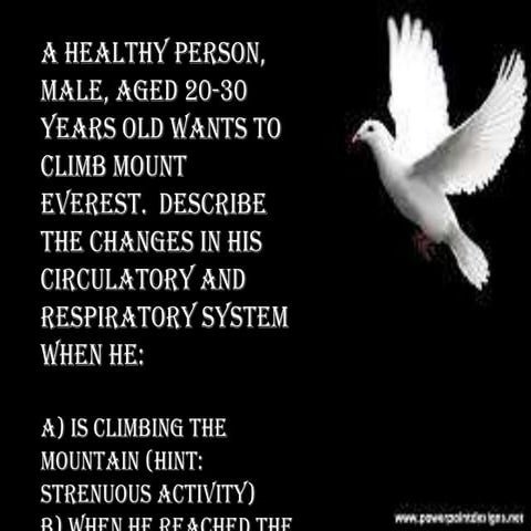 Respiratory system and circulatory system in high altitude | PPTX