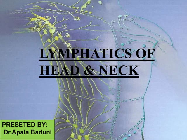 LYMPHATICS HEAD AND NECK