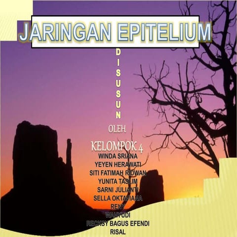 Jaringan Epitelium