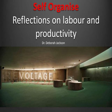 Self Organise: Reflections on Labour and Productivity