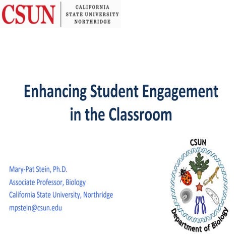 Enhancing Student Engagement in the Classroom, Mary-Patricia Stein