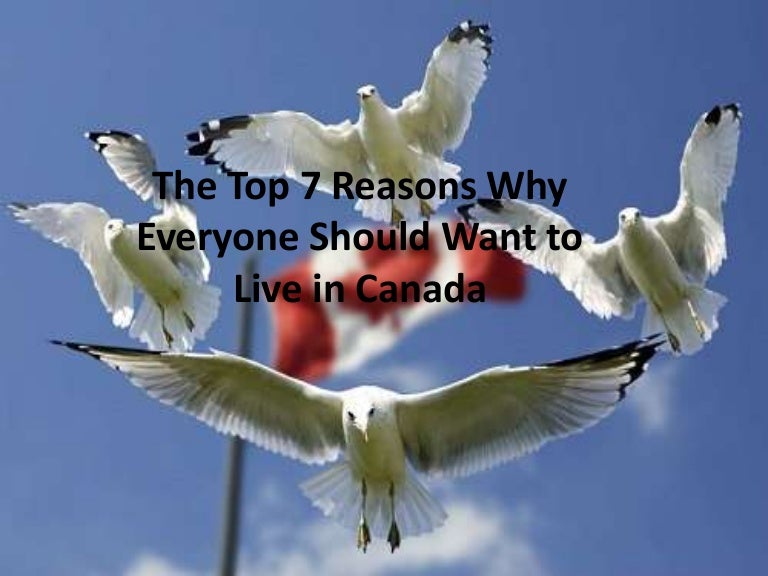 The Top 7 Reasons Why Everyone Should Want to Live in Canada