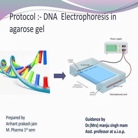 Protocol of DNA Gel Electrophoresis in agarose gel for experimental Purpos