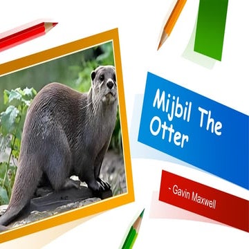 Mijbil The Otter Class 10.pptx