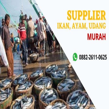 0882-2611-0625, Grosir Ikan Beku | PPTX