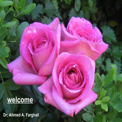 New Techniques in Pharmaceutical Biotechnology