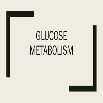 Glucose metabolism with flowchart made using ai | PPTX