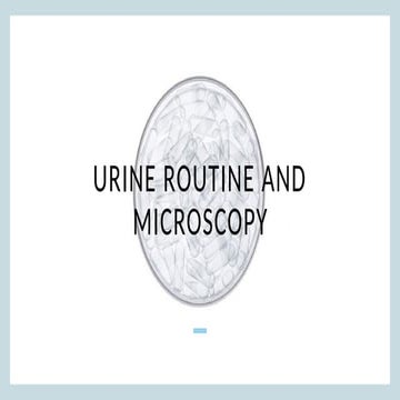 Presentation 2.pptxwnflwhfiowhjfiowjfgiowghwioghwoi