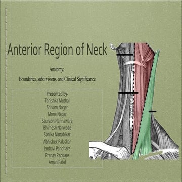 Presentation 2 anterior triangle of neck.pptx