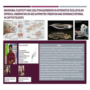 Innovative Research and Project Developments 2024-2025 | PDF